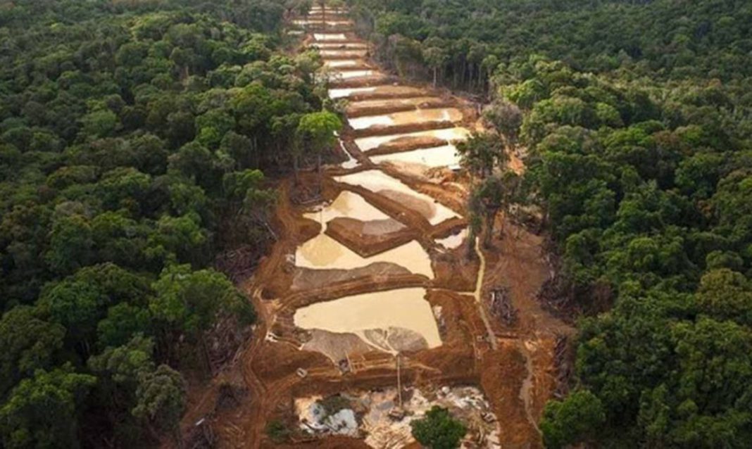 Minas