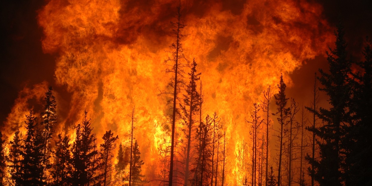 INCENDIO