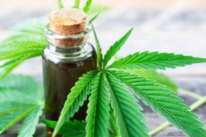 ONU-Cannabis