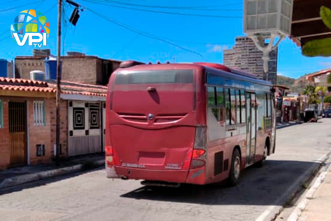 BusMargarita