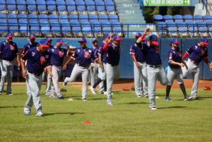 tigres de aragua