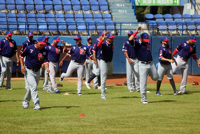 tigres de aragua