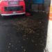#Sucesos | Joven de 25 años fue asesinado con una piedra en Los Dos Caminos (+Fotos)