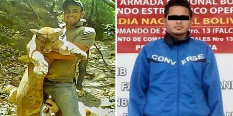 #Sucesos | Detienen a sujeto por matar un puma en Falcón