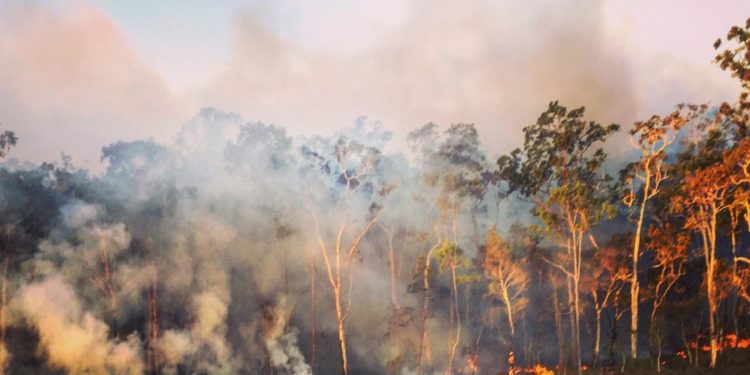 #Mundo | Incendio en una ciudad de Australia enciende las alarmas