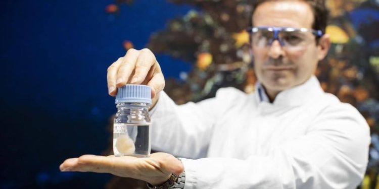 #Ciencia | Investigan propiedades de un organismo marino para tratar la covid-19