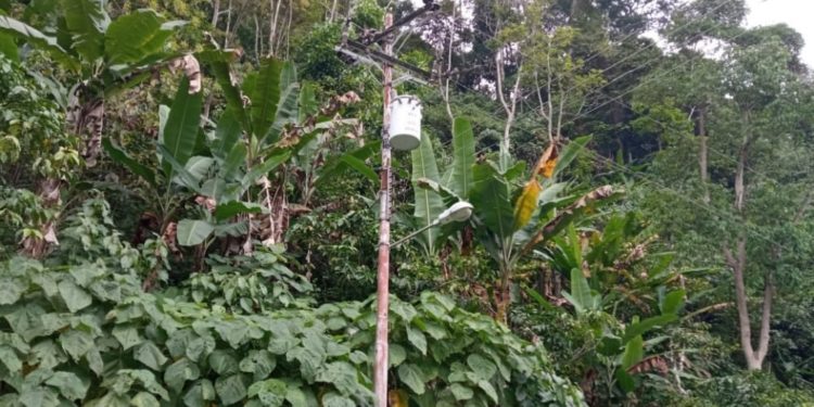 #Comunidad | Zonas rurales de Trujillo tienen hasta un año sin servicio eléctrico