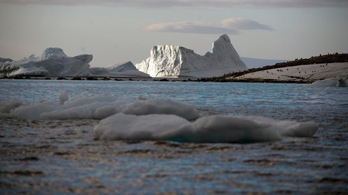 iceberg
