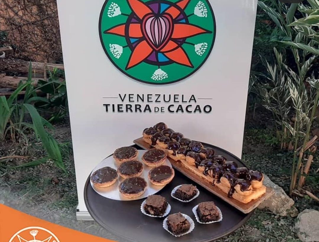 Diplomado busca potenciar el gremio del chocolate y cacao en Mérida