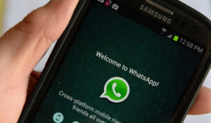 whatsapp-afp arepa
