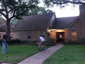 Enorme tigre suelto causó pánico en un vecindario de Texas