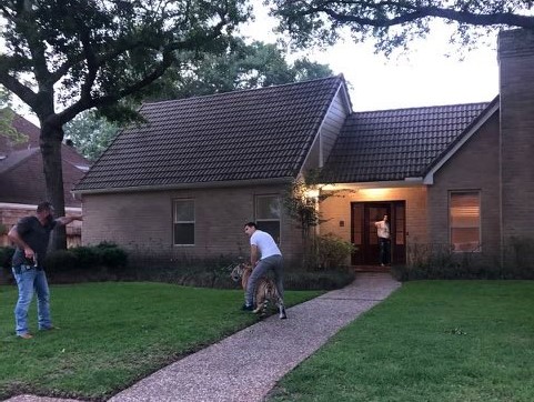Enorme tigre suelto causó pánico en un vecindario de Texas