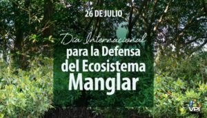 Manglar
