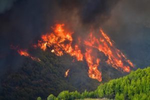 Incendio en Grecia