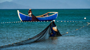 Sucre pescadores