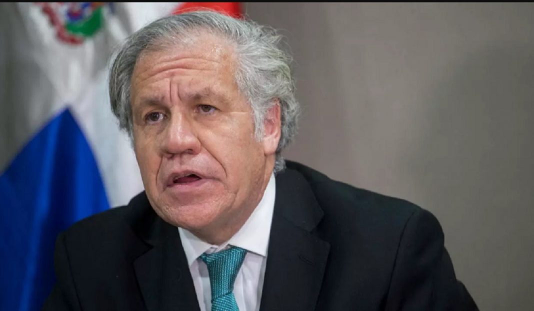 Luis Almagro. (AFP)