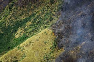 Incendio en el Parque Nacional Henri Pittier. Foto: Twitter