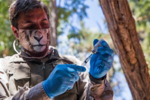 Vacunación a los animales del Buin Zoo
