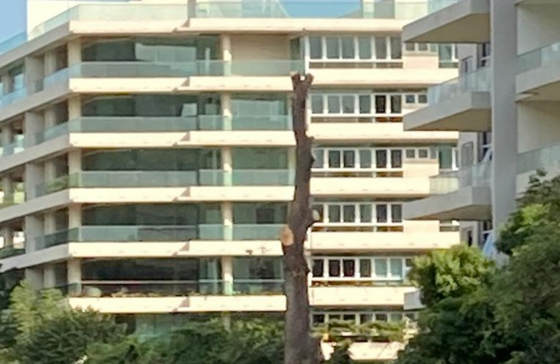 Foto: Ciudad Verde