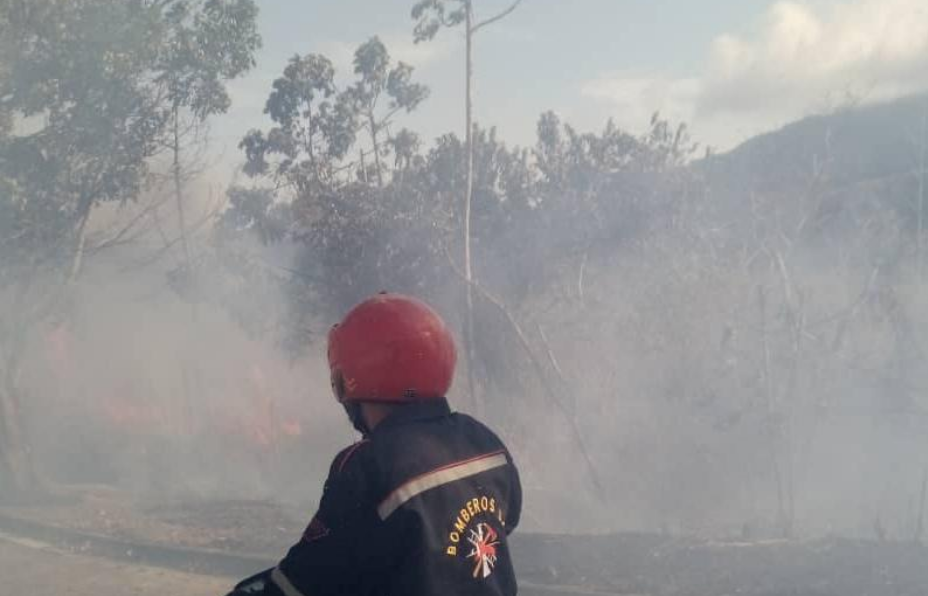 Incendio destruyó dos containers con material del Metro de Valencia
