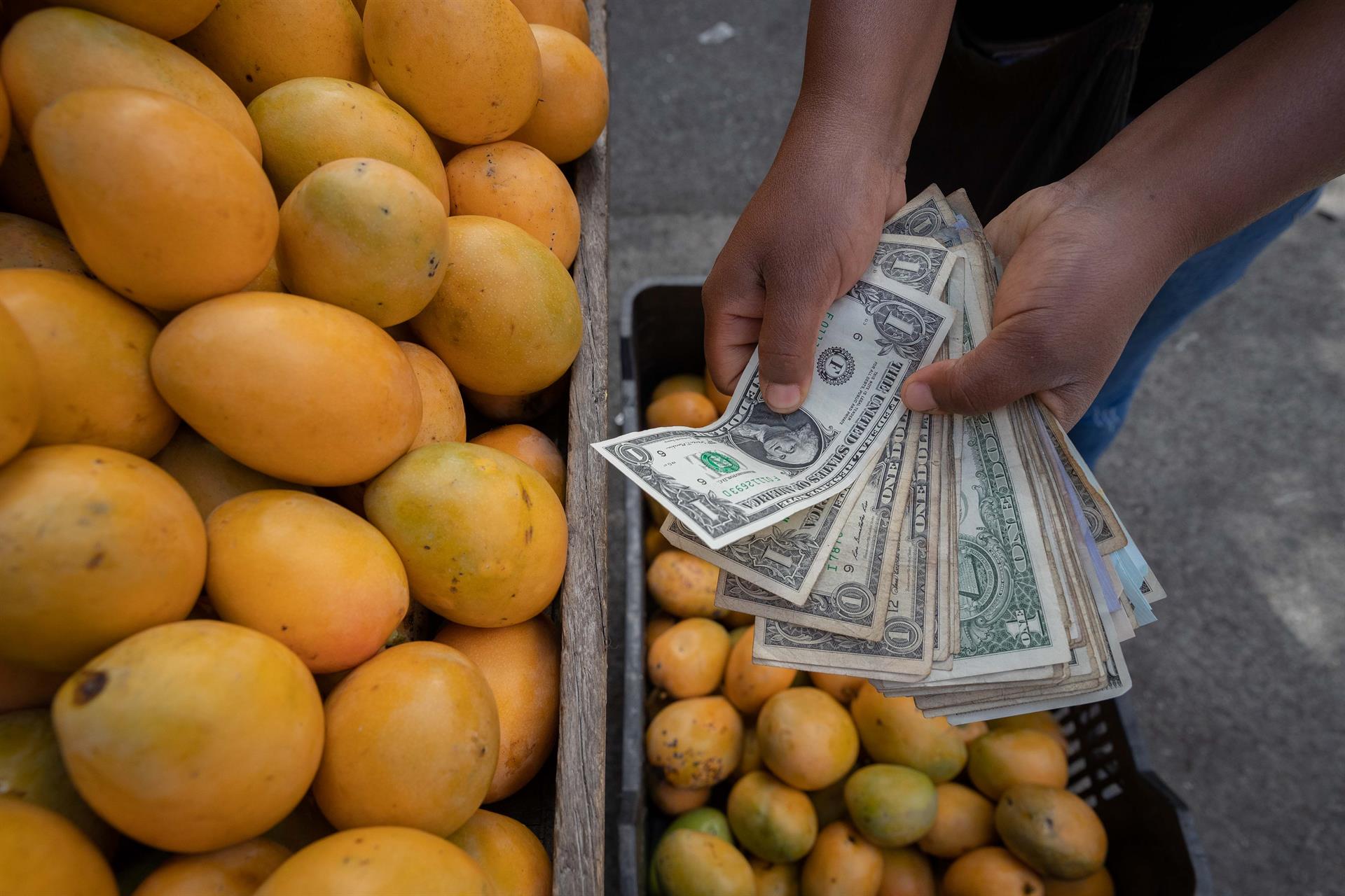 Divisas en Venezuela. Foto: EFE