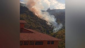 Foto: Twitter Vanessa Rodríguez (@nessacrlupo)