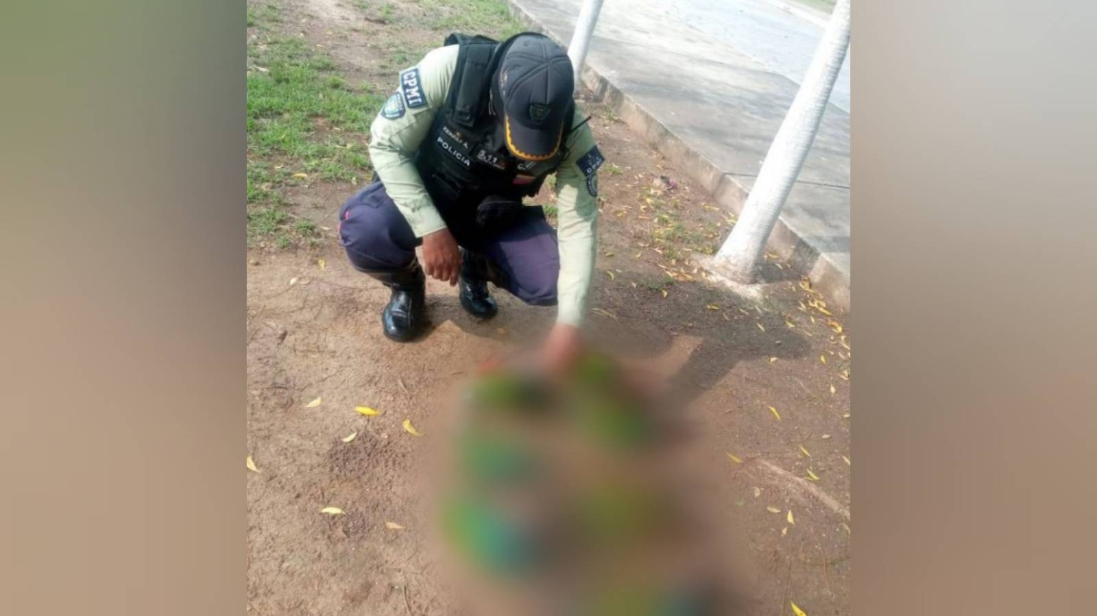Fotos cortesía.