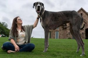 Zeus junto a su dueña, Brittany Davis. Foto: Gentileza