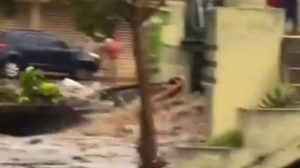 Foto: Captura de pantalla Twitter Gregoría Díaz (@churuguara).