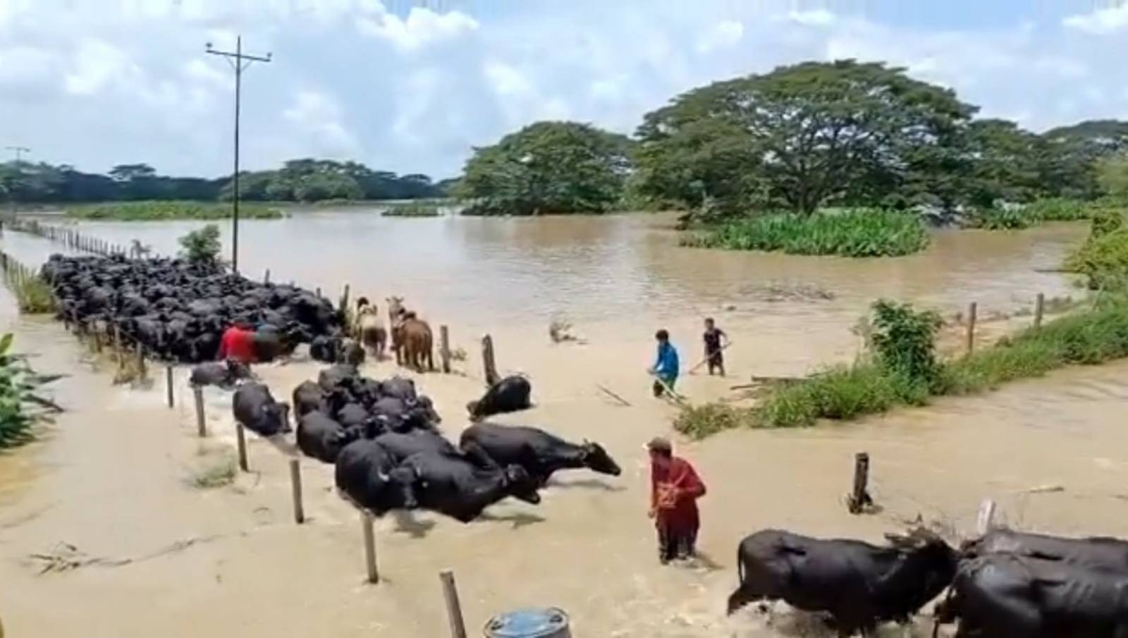 Foto: Captura de pantalla.