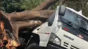 Foto: Captura de pantalla.