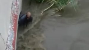 Foto: Captura de pantalla.