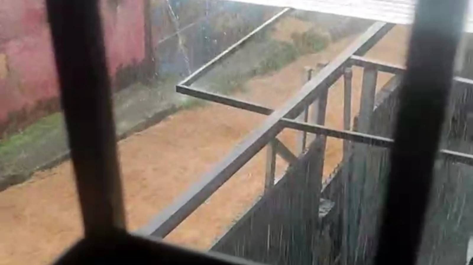 Foto: Captura de pantalla.