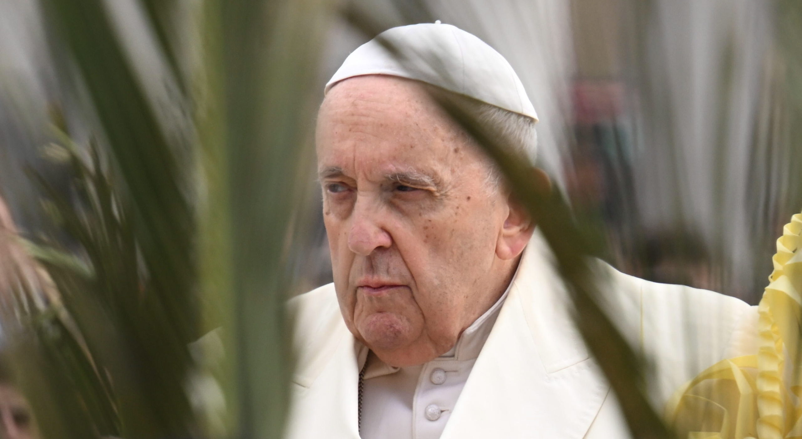 Papa Francisco, máximo jerarca de la iglesia católica. Foto: EFE