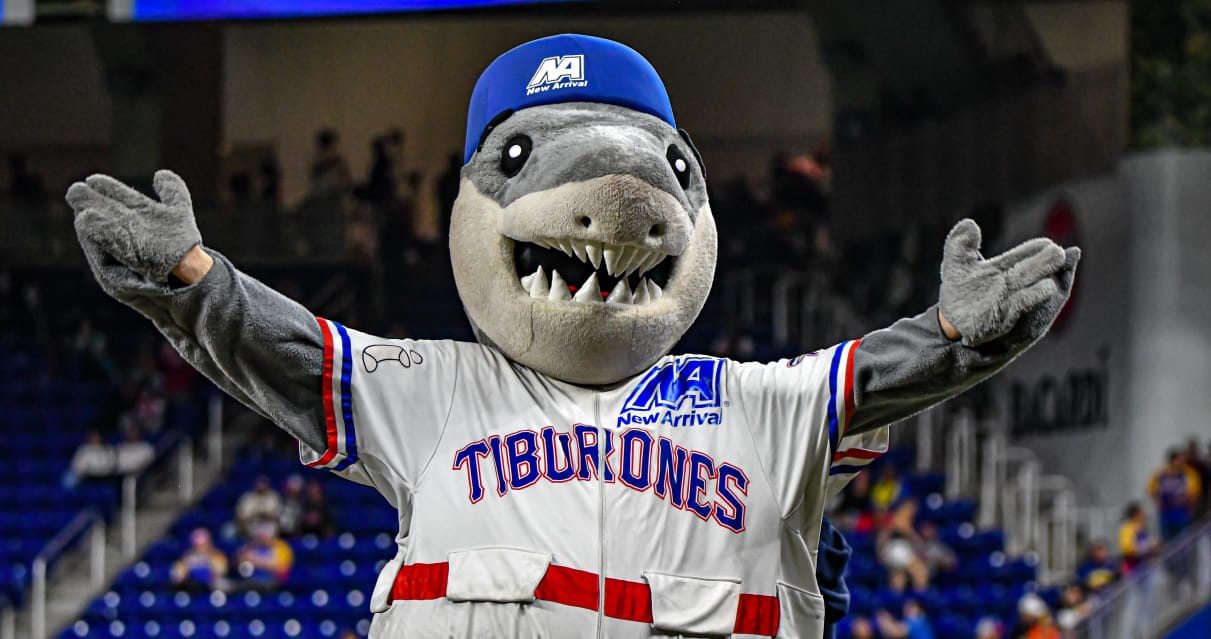 Tiburones de La Guaira en la Serie del Caribe 2024 Foto: X - Tiburones de La Guaira (@tiburones_net)