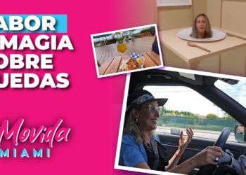 La Movida Miami: “Sabor y magia sobre ruedas”
